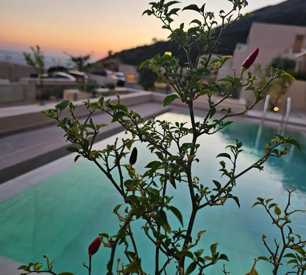 Villa Ostriche Green Coast Palase
